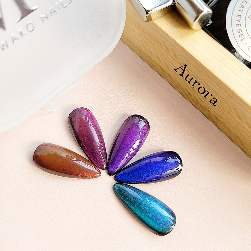 5 Colors Cat Eye Gel Nail Polish Set with 2 Pcs Magnet