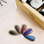 5 Colors Cat Eye Gel Nail Polish Set with 2 Pcs Magnet