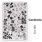 Floral Stamping Plate - Camellia Gardenia Orchid Iris Cute-style Nail Art for DIY Manicure Salon Design Supplies Tools