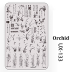 Floral Stamping Plate - Camellia Gardenia Orchid Iris Cute-style Nail Art for DIY Manicure Salon Design Supplies Tools