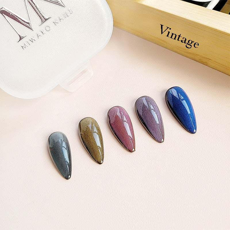 5 Colors Cat Eye Gel Nail Polish Set with 2 Pcs Magnet