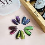 5 Colors Cat Eye Gel Nail Polish Set with 2 Pcs Magnet